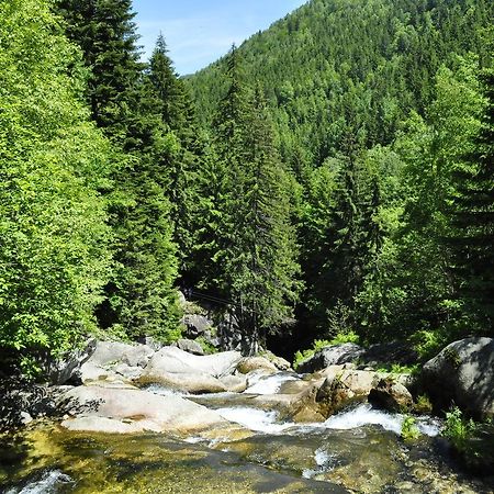 Cabana Cascada Cârnic Nucsoara  Exterior foto